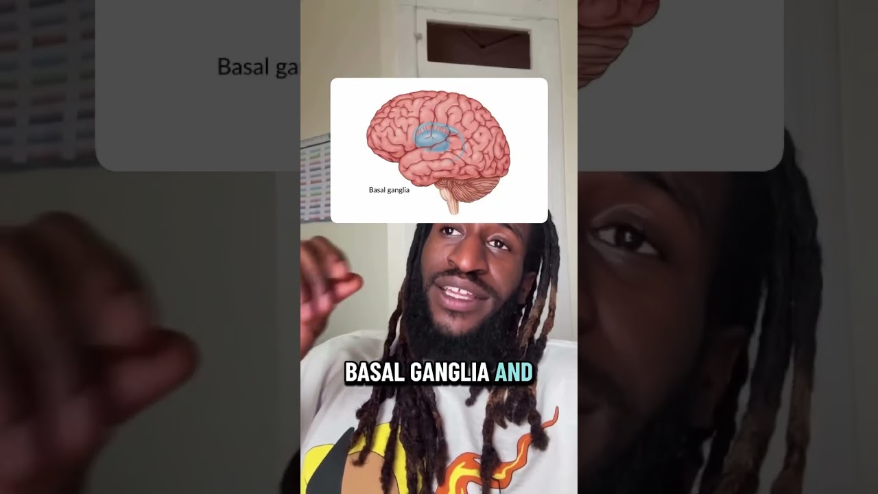 Влияние марихуаны на мозг: научный анализ 