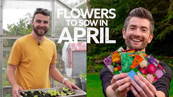 What Flowers To Sow in April | What to Sow Now! - DayDayNews