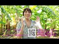 麻倉まりな CM Amazon 01