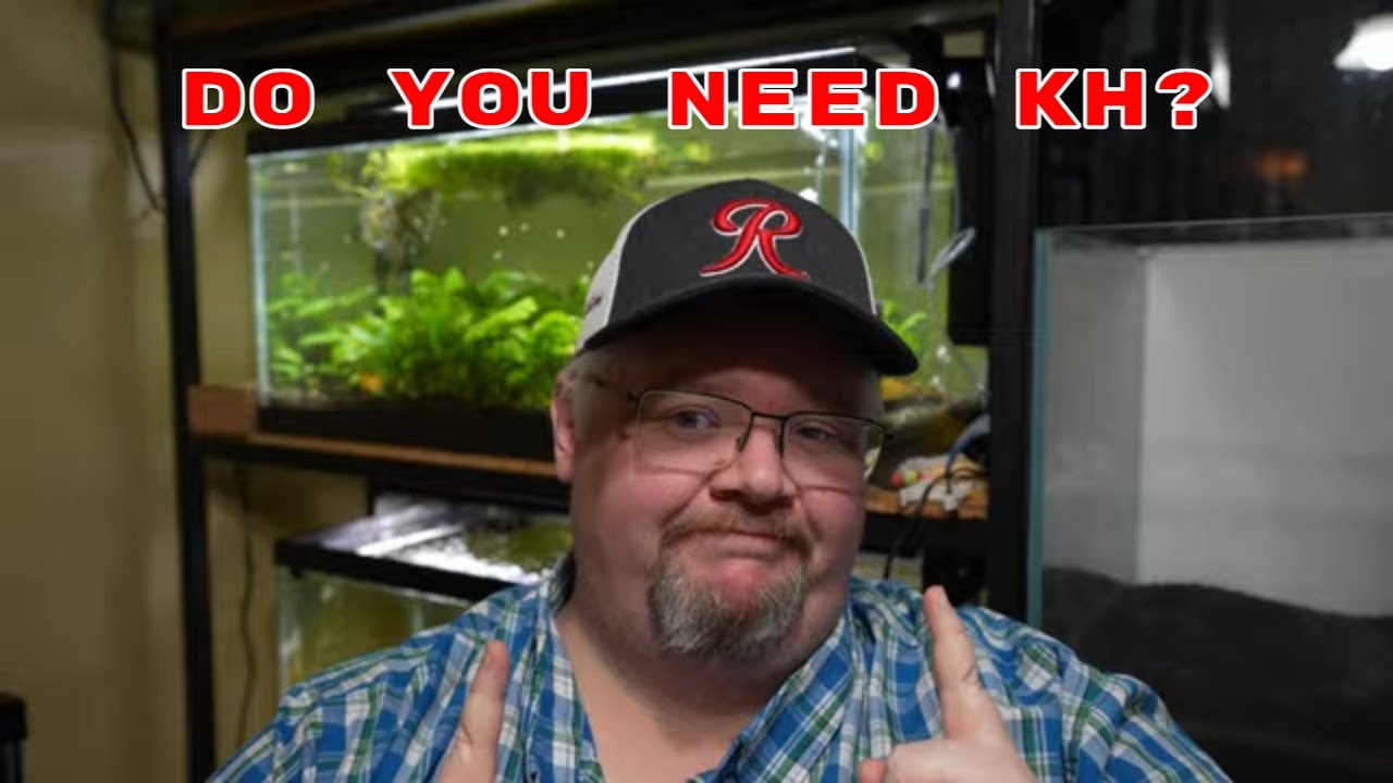 Понимание KH и карбонатной жесткости — нужно ли вам это?