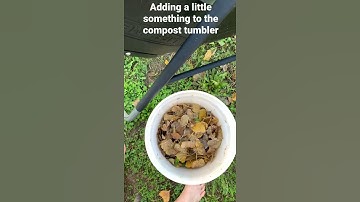 Adding a little something to the compost tumbler.