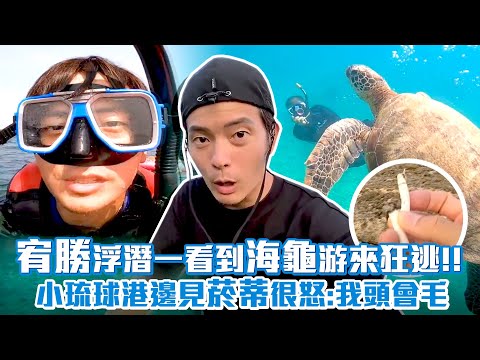 宥勝浮潛一看到海龜游來狂逃！！ 小琉球港邊見菸蒂很怒：我頭會毛