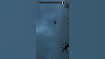 Flying NPCS | Skyrim Together