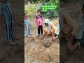 Organic farming, sustainable farming, farming ideas #greatschools #shorts#shortvideo #virslshorts