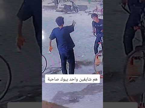 هاي صدك لو يتشاقون