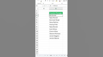 Een aangepaste lijst maken in Excel | Stapsgewijze handleiding