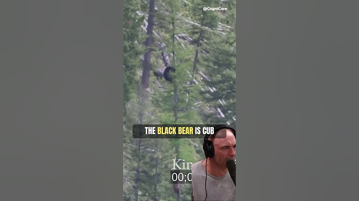 Bears climb tree REALLY FAST! (@joerogan) #shorts #podcast #joeroganexperience
