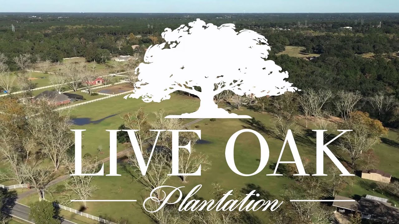 Like No Other Live Oak Plantation Pensacola FL YouTube like-no-other-live-oak-plantation-pensacola-fl-youtube