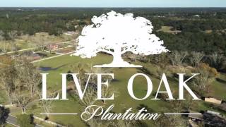 Like No Other...Live Oak Plantation, Pensacola FL