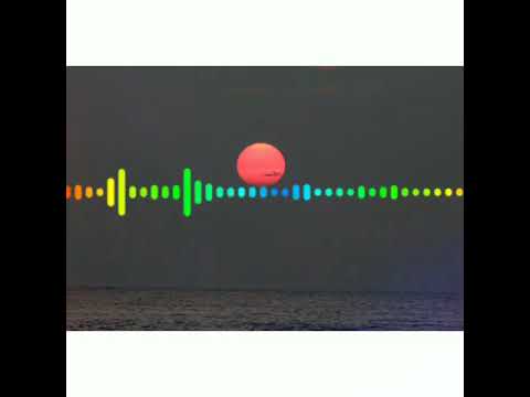 Ragga siai -