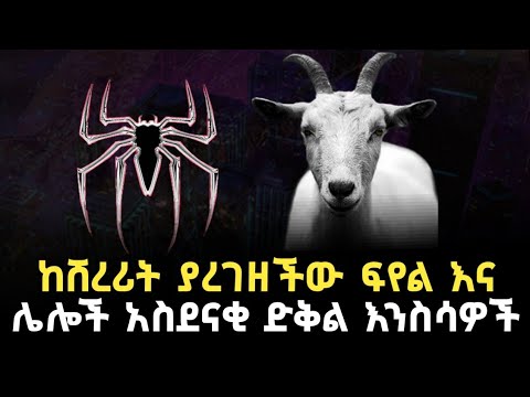 ቪዲዮ: ድቅል ፖፕላር ለምን ያህል ጊዜ ይኖራል?