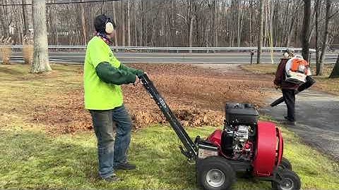 #SATISFYINGVIDEO FALL CLEAN UP VIDEO WITH MUSIC
