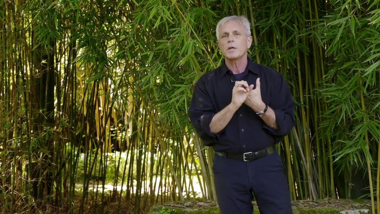 camera iphone 8 plus apk Invitation to ATSI Advanced Modules with Tom Myers