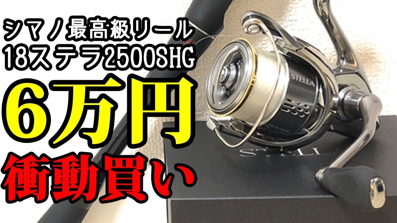 (新品未開封) シマノ(SHIMANO) 18 ステラ 2500SHG