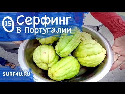 Серфинг в Португалии день 15