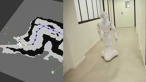 pepper navigation v5 dvd