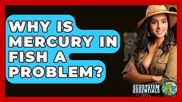 Why Is Mercury In Fish A Problem? - Ecosystem Essentials