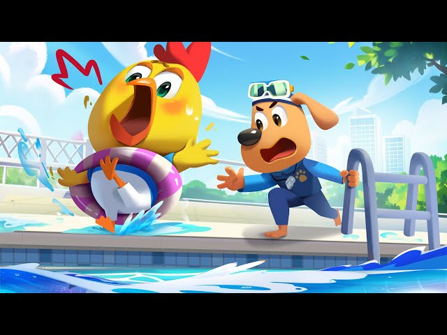 Sheriff Labrador:Safety in Swimming Pools