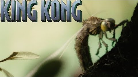 King Kong [2005] - Celocimex Screen Time
