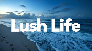 Zara Larsson - Lush Life (lyrics)