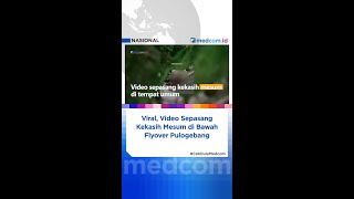 Viral, Video Sepasang Kekasih Mesum di Bawah Flyover Pulogebang