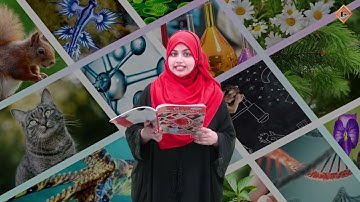 Gohar Science 5|Unit 4|Lec 8|Assessment