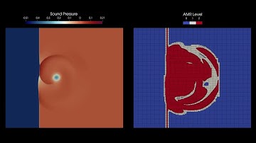 Shock-vortex interaction with adaptive mesh refinement
