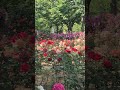 Cello Concerto in B Minor, Op. 104, B. 191: I. Allegro · Pierre Fournier/PhilharmoniaㆍAntonín Dvorák
