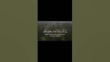 إن الذين يشترون بعهد الله. سورة آل عمران 77 #اكسبلور #المصحف #explore #quran #تلاوة #قرآن
