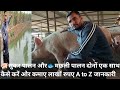 PIG FARMING और Fish Farming दोनों एक साथ कैसे करें ओर कमाए लाखों रुपए A to Z जानकारी, #youtube