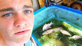 We Drained The Pool Pond...