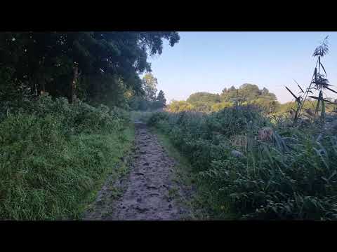 SlowTV: Walking in