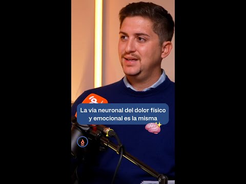 La vía neuronal