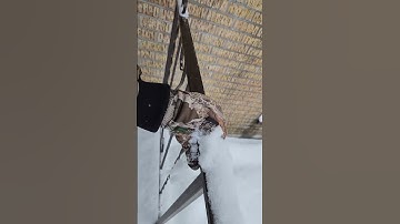 Removing Snow From Forged Cap Staircase Rail