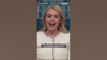 Democraten vinden uitspraken over overheidssluiting 