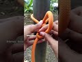 Easy Knot  #knot #rope #a #diy #handmade #camping #outdoor #tutorial