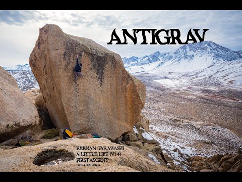 ANTIGRAV PRESENTS: A LITTLE LIFE