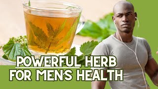 7 Benefits of Stinging Nettle for Men, dosage & usage & precautions + more / Earth’s Medicine
