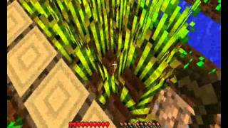 003 3-Й День.wmv