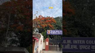 Apn gao#villagelife #subscribemychannel #viralshorts