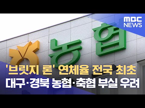 ‘브릿지 <strong>론</strong>’ 연체율 전국 최고‥ 대구·경북 농협·축협 부실 우려 (2024.07.16/뉴스데스크/대구MBC)
