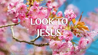 LOOK TO JESUS | Worship & Instrumental Music With Scriptures | Piano Praise