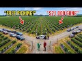 HOA Karen Opened My Farm to the Public… They STOLE $21,000 in ONE DAY 😡🍇