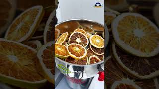 🍋 Lemon Powder Making Business 💰 | Dehydrator + Grinder Machine Setup