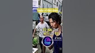 Phiến lá tĩnh lặng