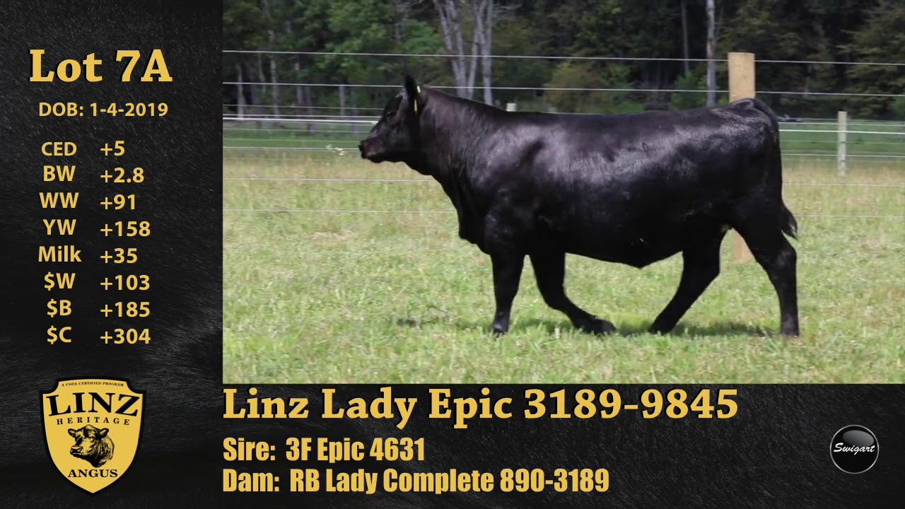 upload image Linz Lot 7A - Linz Lady Epic 3189-9845