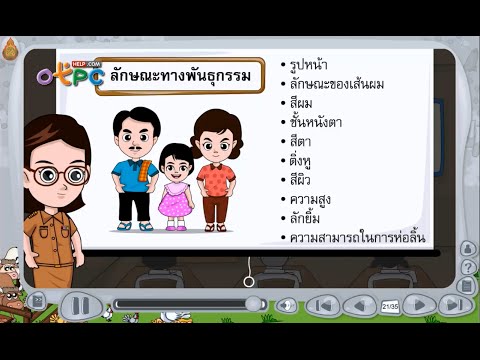 การถ่ายทอดลักษณะทางพันธุกรรมของมนุษย์ - สื่อการเรียนการสอน วิทยาศาสตร์ ป.3