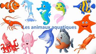 les animaux aquatiques