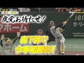 【3月31日ハイライト】 虎党お待たせ! 森下弾で今季初勝利!! 巨人ー阪神第3戦(東京ドーム)