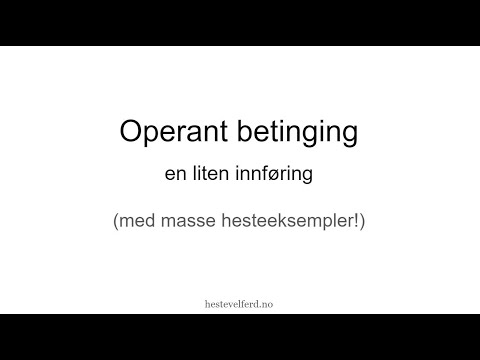 Operant betinging   en liten innføring